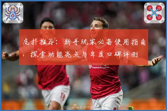 虎扑推荐：新手玩家必备使用指南，探索功能亮点与年度口碑评测