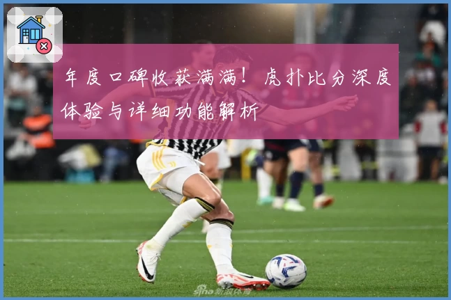 年度口碑收获满满！虎扑比分深度体验与详细功能解析
